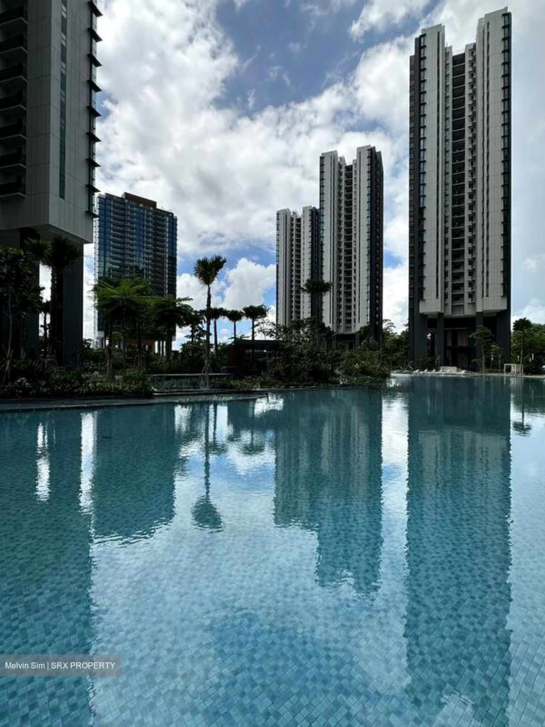 Normanton Park (D5), Apartment #523659311